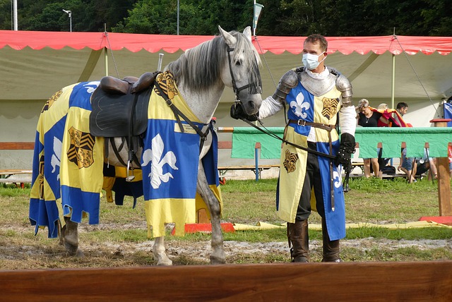 引起了球迷 引起了球迷