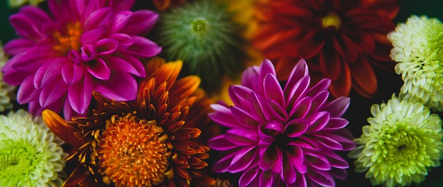 度成为关键 度成为关键