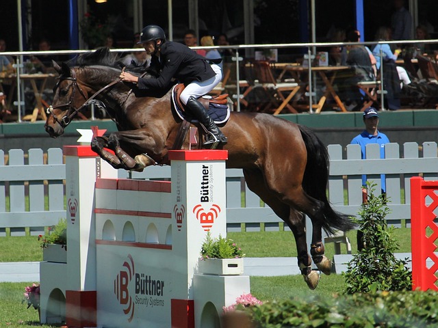 期内通过几 期内通过几