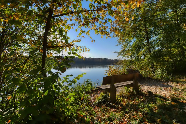 记精彩进球 记精彩进球