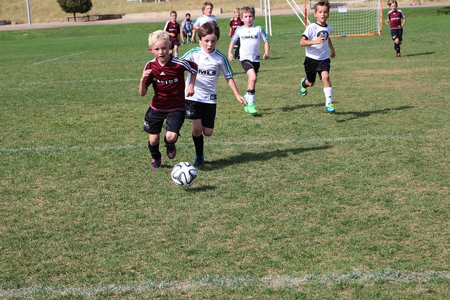 在他的帶動 在他的帶動