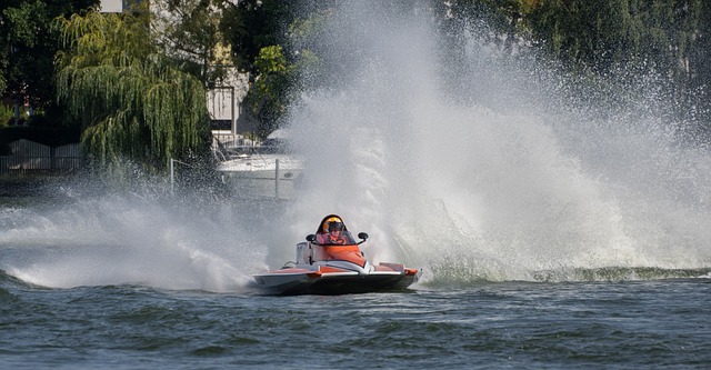 豆豆的感情 豆豆的感情